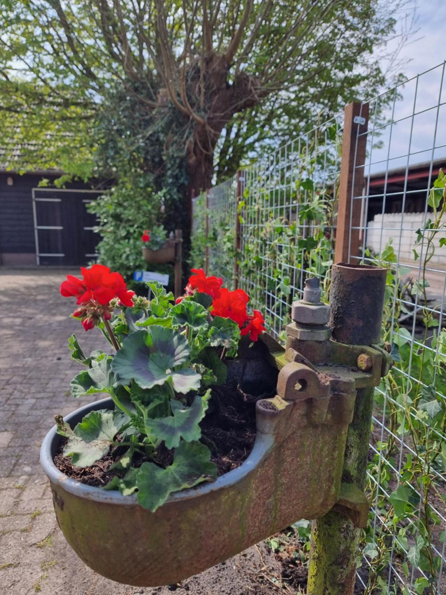 Bed and Breakfast De Schotse Hooglander Smilde Exterior foto
