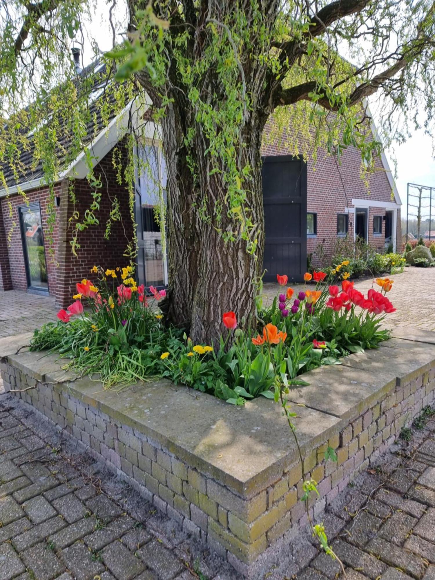 Bed and Breakfast De Schotse Hooglander Smilde Exterior foto